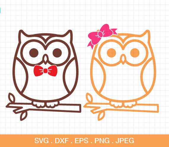 Download Owl Svg Owl With Bow Monogram Frame Owl With Boy S Bow Etsy