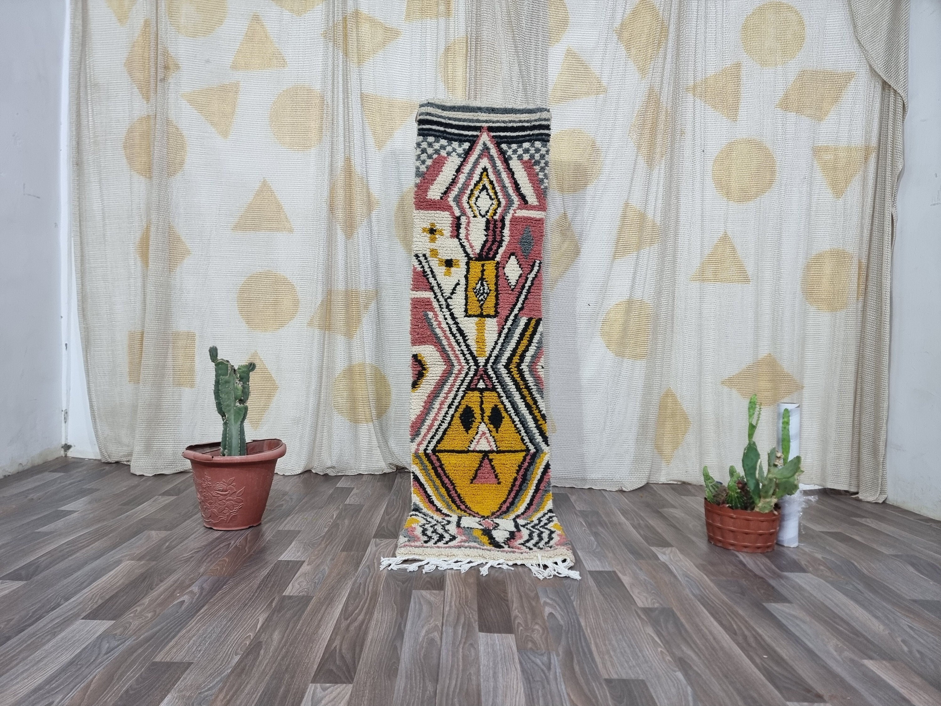 ベニ Overview of Ganoderma lucidum Polysaccharides on Various