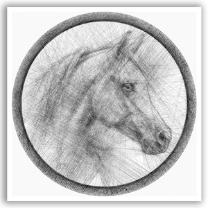 Op de afbeelding: Een cirkelvormig wandkunstwerk met een gedetailleerd portret van een paardenkop, gemaakt met complexe zwarte draadkunst. Het ontwerp is gevat in een ronde lijst en toont dichte, overlappende lijnen die de gelaatstrekken van het paard vormen.
