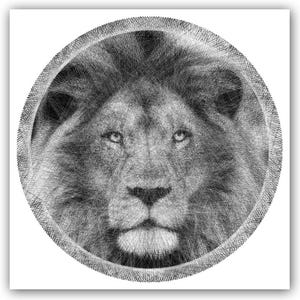 Puede incluir: Un retrato circular de arte con hilos de la cara de un león, representado en blanco y negro. La imagen está creada mediante una densa red de hilos entrecruzados que forman los rasgos detallados, la melena y la mirada intensa del león en un marco redondo.
