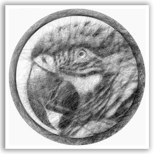 May include: A circular string art piece featuring a detailed black and white portrait of a parrot. The image is created using a complex network of thin black threads stretched across a circular frame, forming the bird's eye, beak, and feathers.