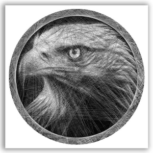May include: A circular string art portrait of an eagle in profile, created with black thread on a white background. The intricate web of intersecting lines forms the detailed feathers, sharp beak, and focused eye of the bird of prey.