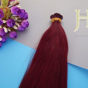 I-Tip ヘアエクステンション、22 インチ、シルキーストレート、100% バージン レミー ヒューマンヘア、カラー #99J (バーガンディ)、120 ストランド/パック、1g/ストランド