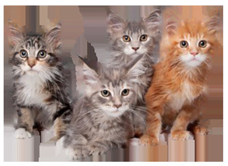 Dog Hot Spot Wound Care Ointment First Aid for Dogs Cats Farm Etsy