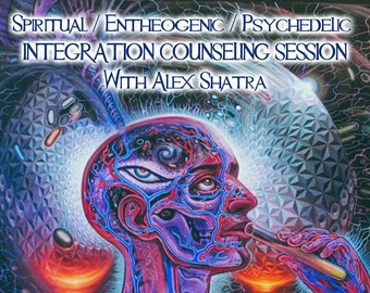 Coaching / Counseling Session (With an Experienced Healer) - Integration of Psychedelic Experience with Master Plants or other Psychedelics