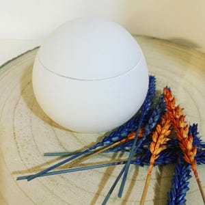 Puede incluir: Un recipiente esférico blanco con tapa, sobre una superficie de madera. El recipiente tiene un acabado liso y mate. Lo acompañan ramitas de flores secas azules y naranjas, que añaden un contraste vibrante a los tonos neutros.