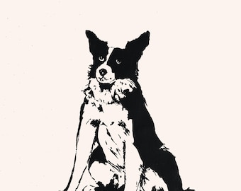 Border Collie Tea Towel