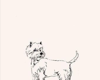 West Highland Terrier