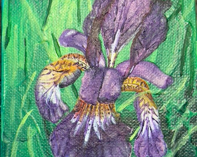 Farnsworth Iris