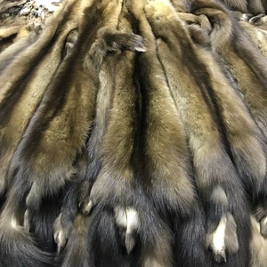 Russian Sable Fur Skins - Etsy