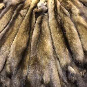 Russian Sable Fur Skins - Etsy