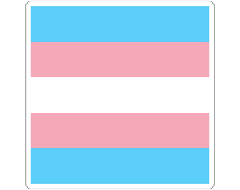 Transgender Flag Kiss-Cut Sticker LGBTQ+