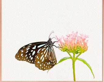 Butterfly wall art / Butterfly home decor / Butterfly Print / Butterfly on green leaf / Butterfly Art / Butterfly Wall Decor #49