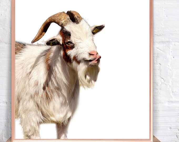 This item is unavailable Etsy