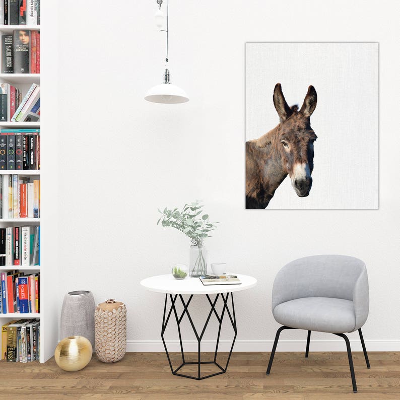 Donkey Wall Art / Donkey Home Decor / Donkey Print / Donkey / Etsy