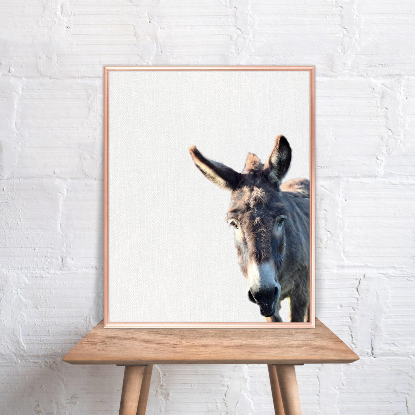 Donkey Wall Art / Donkey Home Decor / Donkey Print / Donkey / Etsy