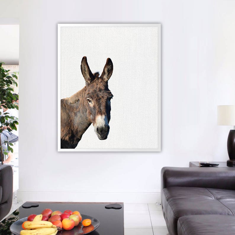 Donkey Wall Art / Donkey Home Decor / Donkey Print / Donkey / Etsy