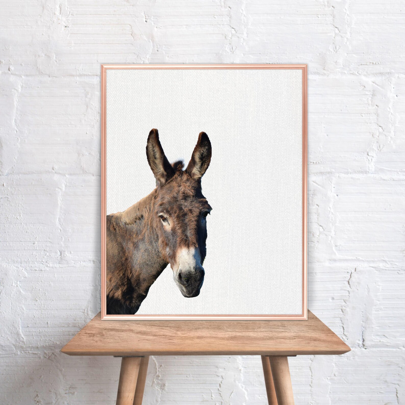 Donkey Wall Art / Donkey Home Decor / Donkey Print / Donkey / Etsy