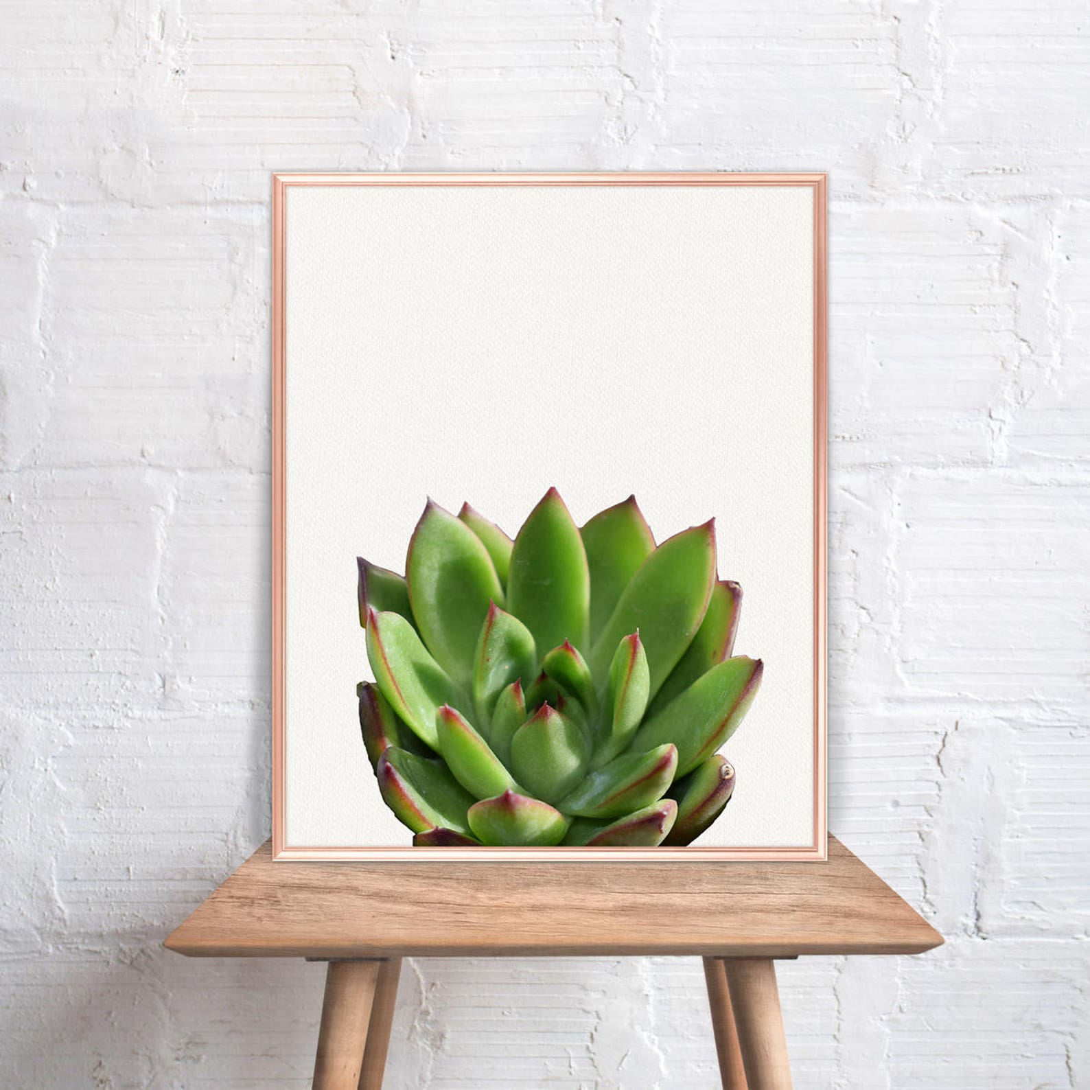 Succulent Wall Art / Succulent Home Decor / Succulent Print / Etsy