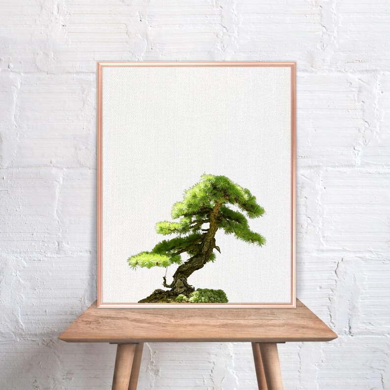 Arte De La Pared Del Bonsai Decoracion Del Hogar Del Bonsai Etsy