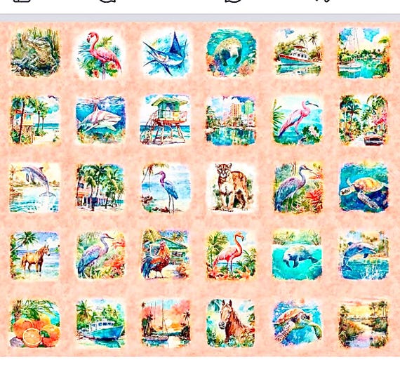 Florida shop hop 2025 fabric  panel vignettes Florida scenes 25 different each about 7” 100% cotton