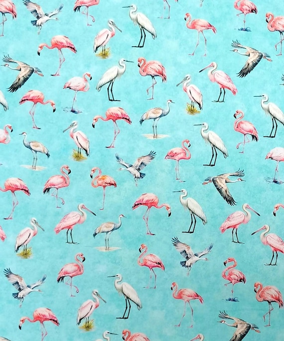 Florida shop hop 2025 Florida Birds on aqua background cotton by the yard