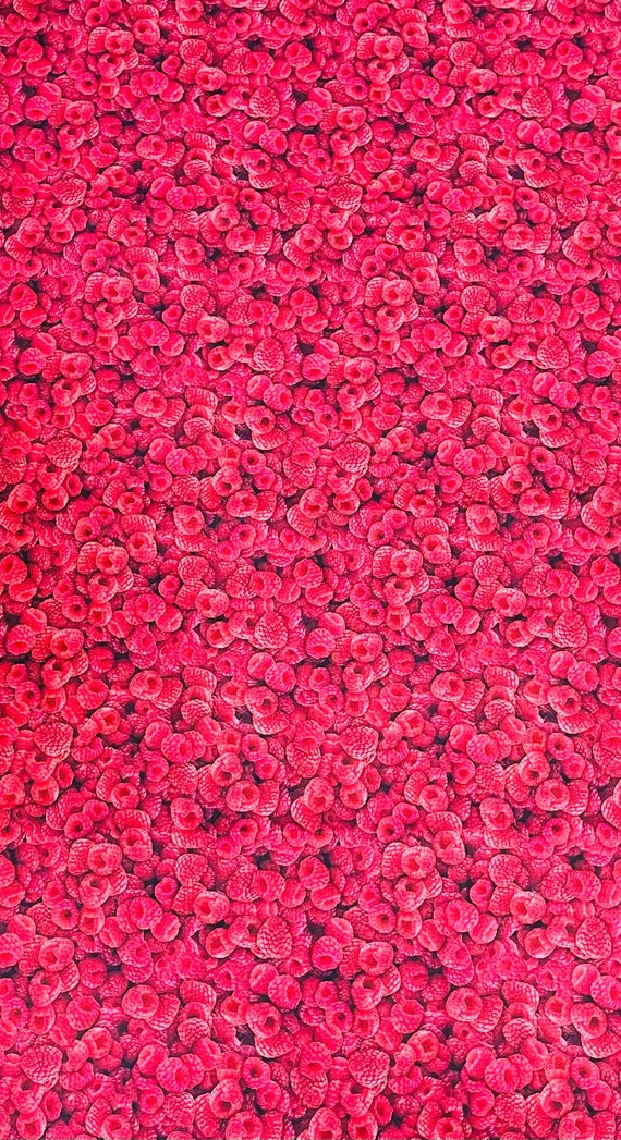 Raspberries farm fresh fruit vegetables Dan Morris Design QT Fabrics - Raspberry