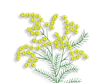 Mimosa embroidery design