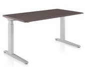 CUSTOM SIZE Home Office Standing Electric Adjustable Size and Color Options