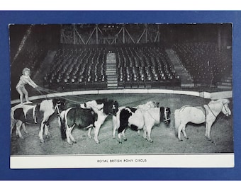 John Lesters Royal British Midgets Pony Circus Sideshow Postcard Unposted Vintage