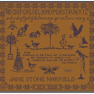 Patrón de puntada cruzada de placa de libro de Jane (copia en papel)