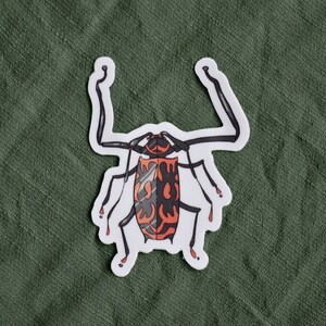 Bug Sticker, Vinyl