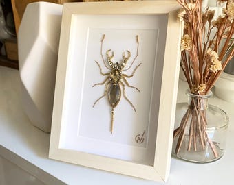 Haute Couture insect embroidery in frame