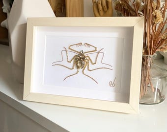 Haute Couture insect embroidery in frame