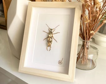 High-fashion insect embroidery in a frame