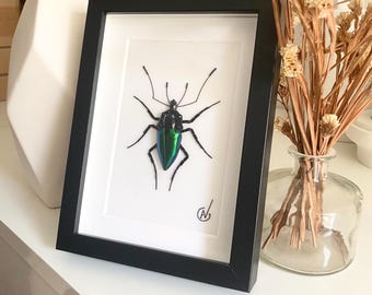 High-fashion insect embroidery in a frame