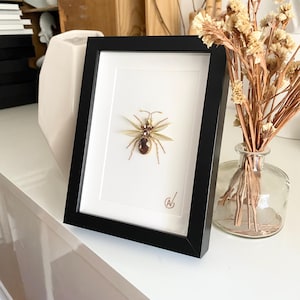 Peut inclure: Une œuvre d'art encadrée présentant une sculpture d'insecte en trois dimensions centrée sur un fond blanc. L'insecte est fabriqué à partir de fils dorés et métalliques, avec un corps en pierre précieuse facettée brun foncé et une tête assortie.