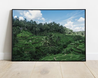 Tegalalang Rice Terrace. Ubud, Bali. April 23. Photographic Print