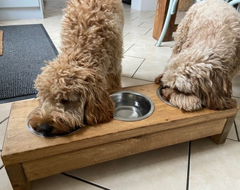 fancy dog water bowls