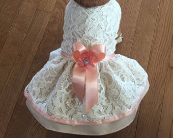 Ivory lace Dog Dress, Dog wedding Dress, ivory salmon bridal Dog Dress