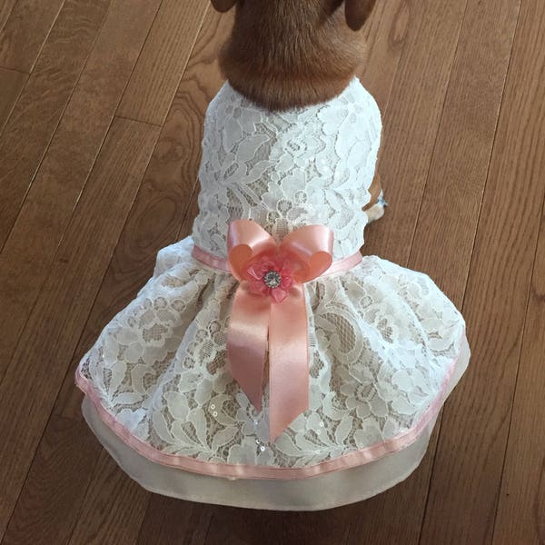 Bridesmaid Dog Dress Etsy