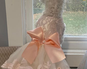 rose gold dog dress Handmade Golden Heart Jewel Dog Dress XL
