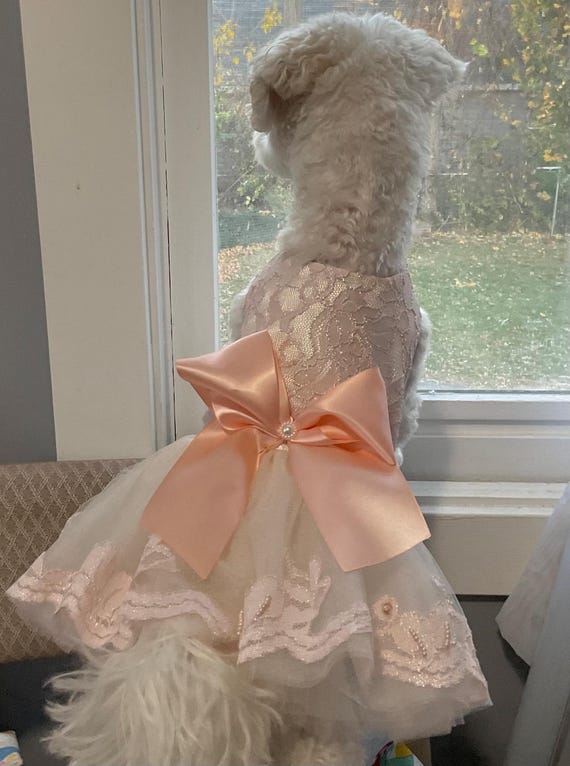 green emerald velvet dress Wedding dog satin dress | Dog Flower girl Dress | Blush wedding | Pink  Champagne wedding dog dress | dog clothes XS-XL main image 0