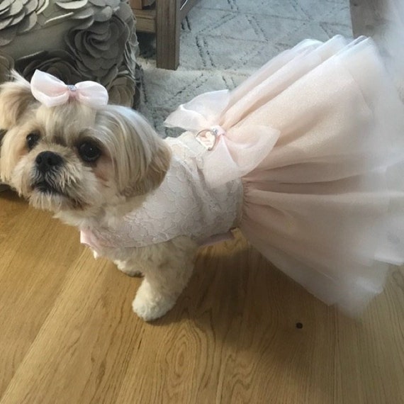dog wedding dress lace Luxury Princess Lace Dog Dress White / M