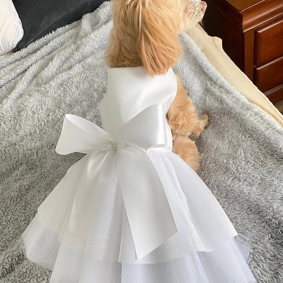dog wedding dress