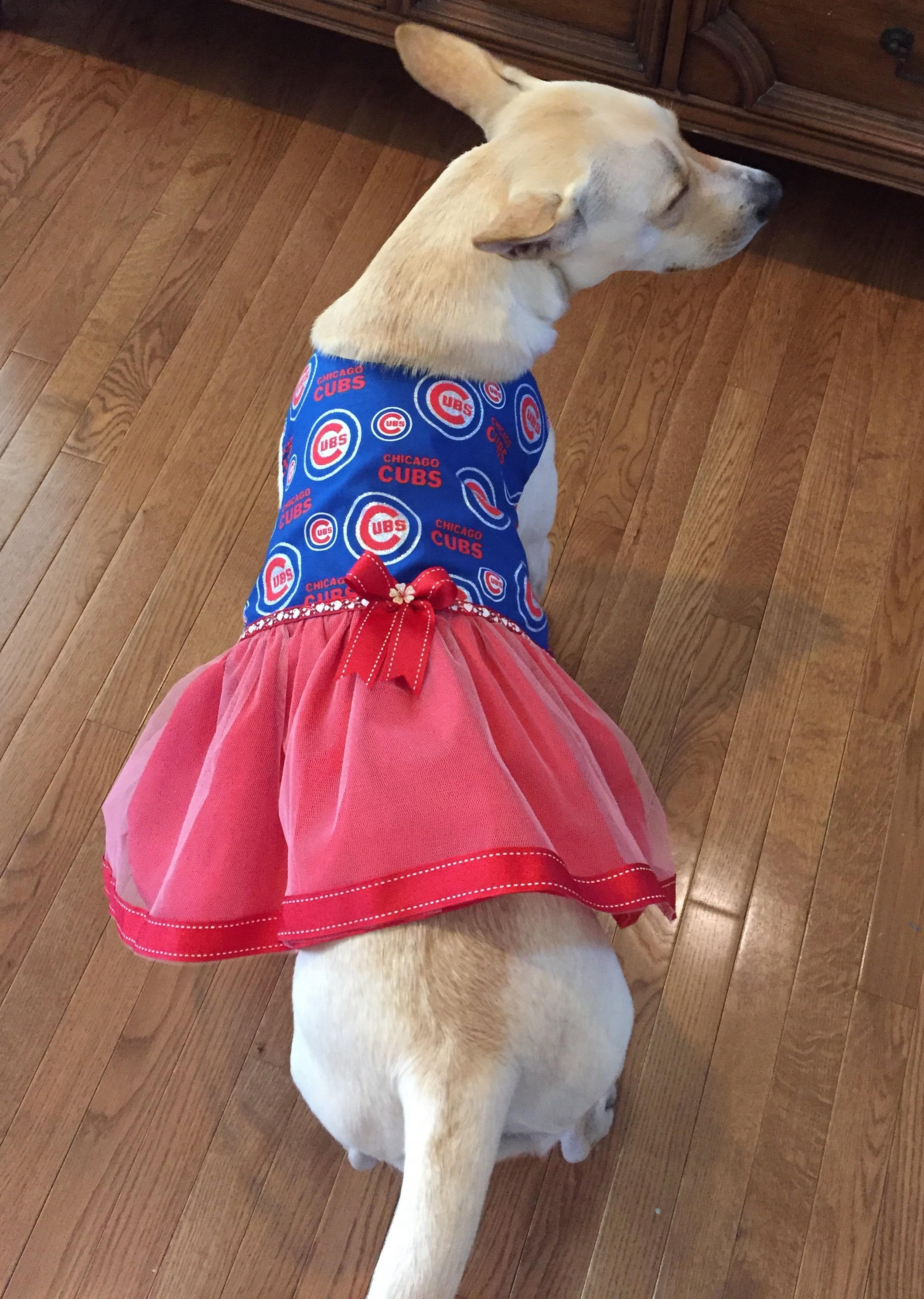 Chicago Cubs Dog Dress Dog Tutu Dress Cubs Tulle Dog Dress 