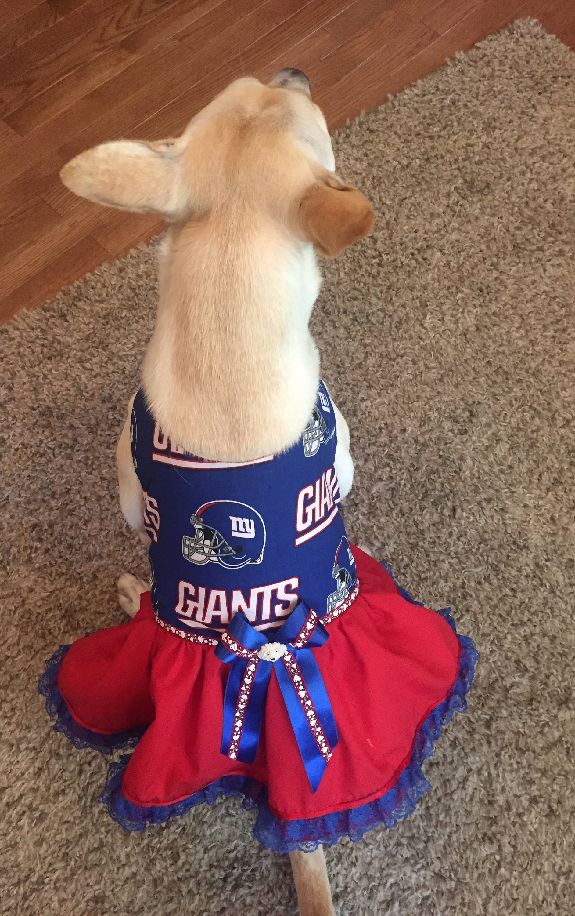 Patriots cheerleader top dog costume