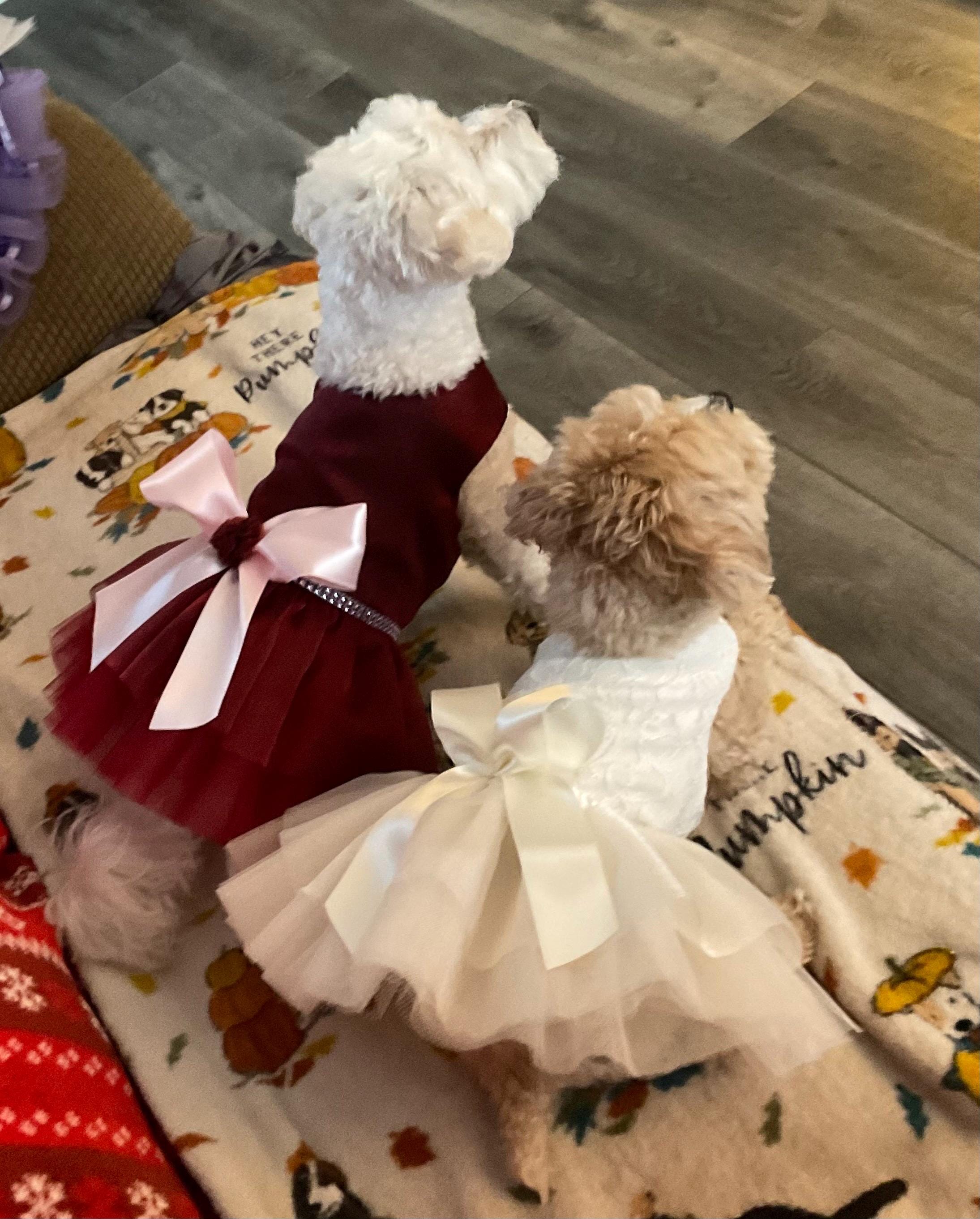 burgundy dog dress Amazon.com : Burgundy Dog Dress, Wedding Dog Dress, Dog Flower Girl Dress, The Eloise, Wine and Copper Wedding Dog Dress, Dog Clothes (XX-Small (2-4 lbs)) : Pet Supplies