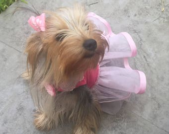 ballerina costume for dogs