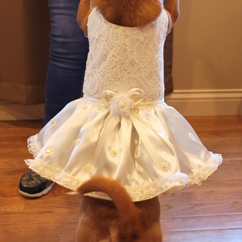 White Bridal Dog Wedding Dress Fancy Dog Bridesmaid Dress Etsy